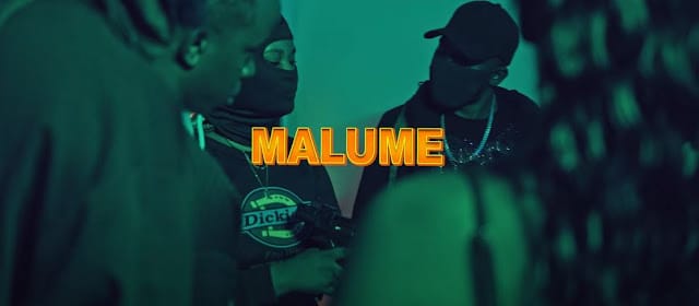 VIDEO | Moni Centrozone Ft Q Chief – Dr Malume | Mp4 Download