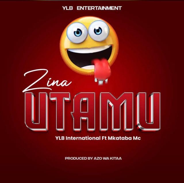 SINGELI AUDIO | Mkataba mc X Dj Ylb – Zina utamu | Download