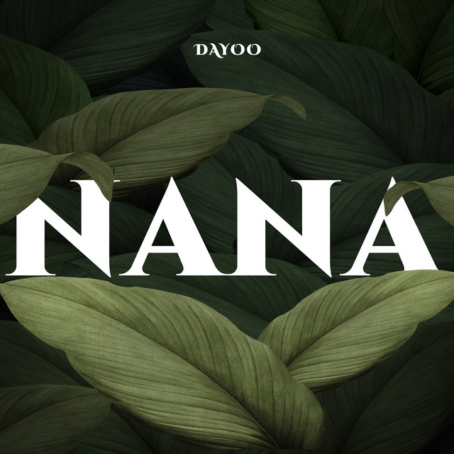 AUDIO | Dayoo – Nana | Download