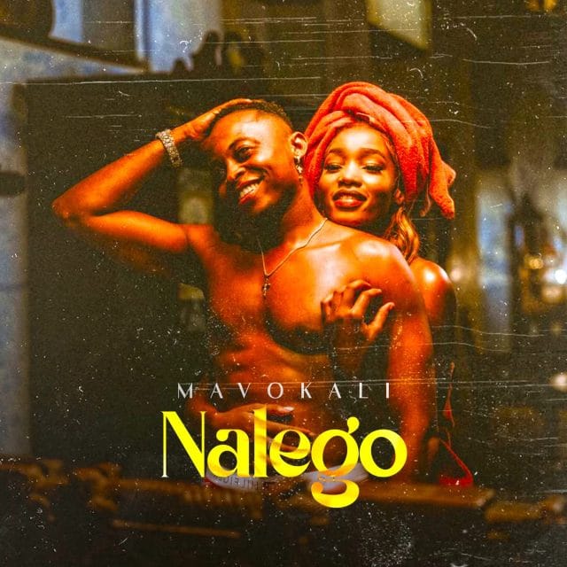 AUDIO | Mavokali – Nalego | Download