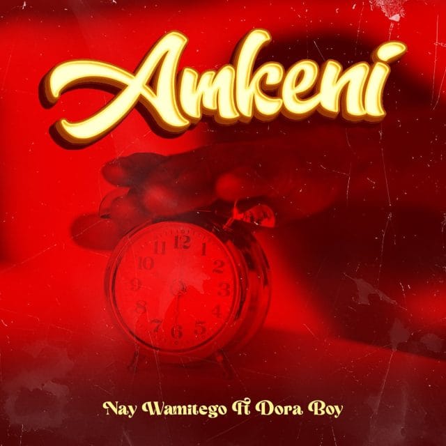 AUDIO | Nay Wa Mitego Ft. Dora boy – Amkeni | Download
