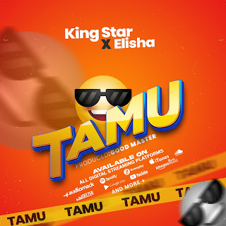 SINGELI AUDIO | King Star Ft Dogo Elisha – Tamu | Download