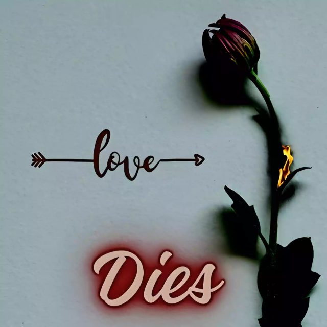 AUDIO | TOXIC – LOVE DIES | Download