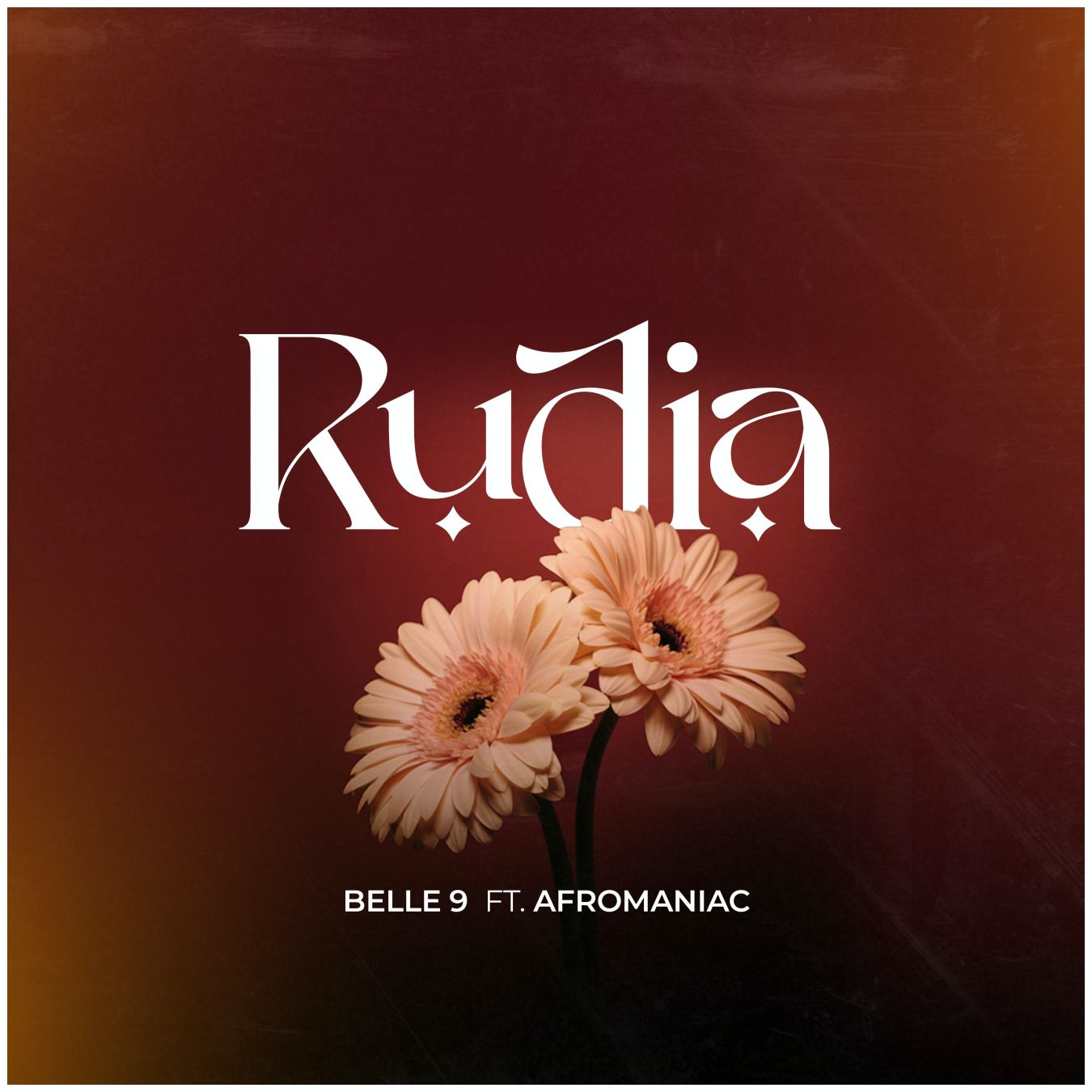 AUDIO | Belle 9 Ft. Afromaniac – Rudia | Download