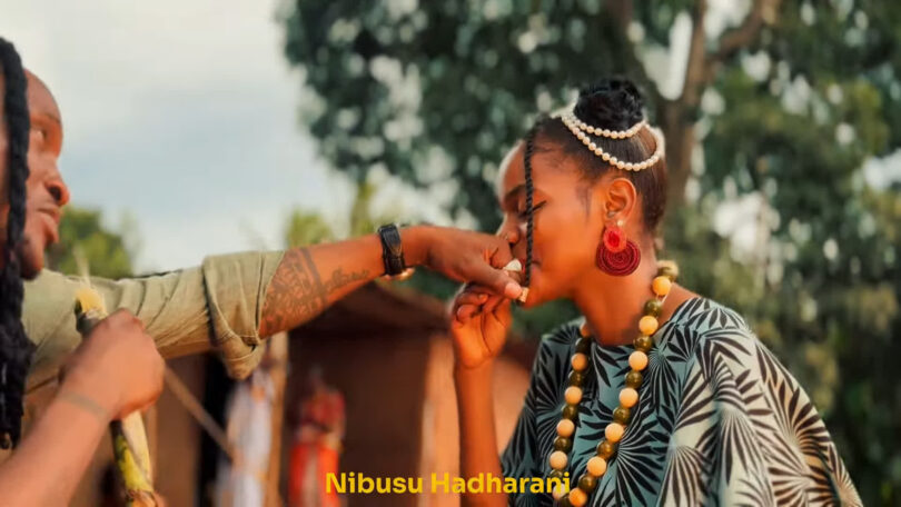 VIDEO | Barnaba Ft. Yammi – Nibusu