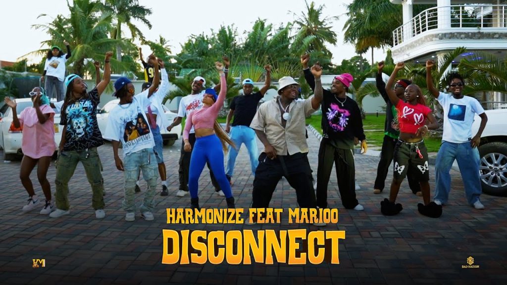 DancingVIDEO | Harmonize Ft. Marioo – Disconnect