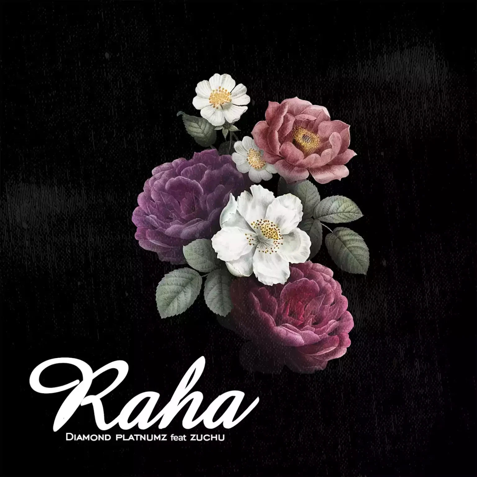 AUDIO | Diamond Platnumz Ft. Zuchu – Raha | Download