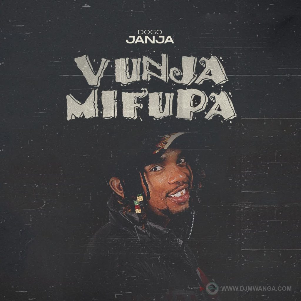 AUDIO | Dogo Janja – Vunja Mifupa | Download
