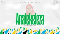 Diamond Platnumz "Anatekeleza Inapendeza (Kisawasawa)"