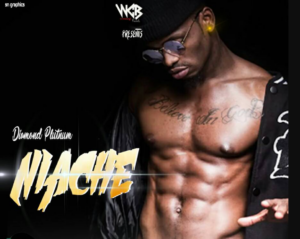 Diamond Platnumz – Niache