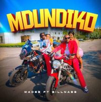 Madee Mdundiko ft. Billnass