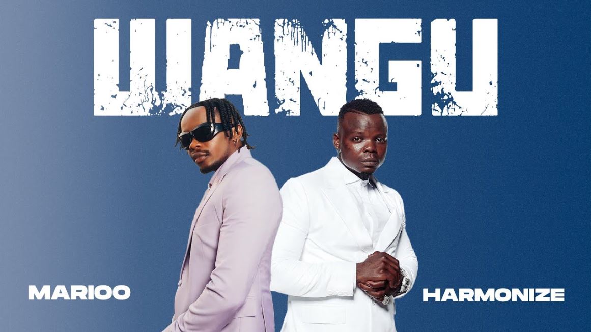 Marioo Wangu ft. Harmonize