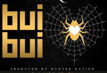 Steve RNB – BuiBui