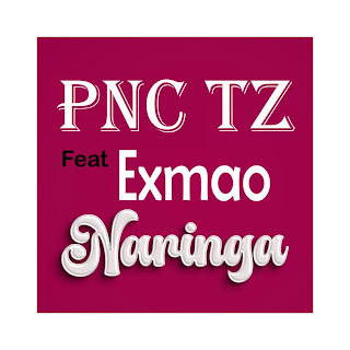 AUDIO: Nay Wa Mitego Ft Raydiance – Mawazo | Download