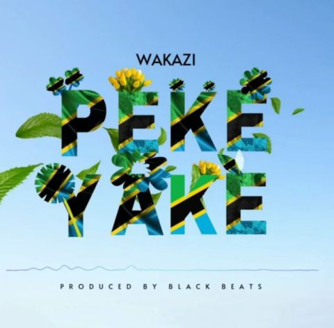 Wakazi Drops a New Hit 'Peke Yake'