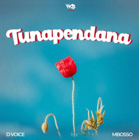 D Voice - Tunapendana ft. Mbosso