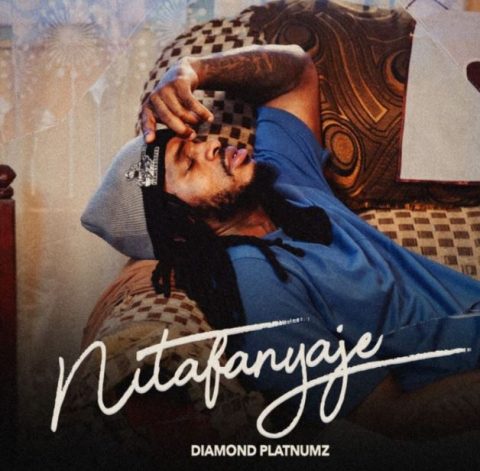 Diamond Platnumz – Nitafanyaje