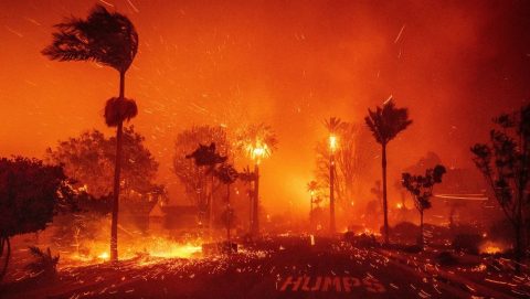 Massive Wildfire Ravages Los Angeles