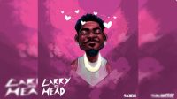 Skiibii - Carry For Head