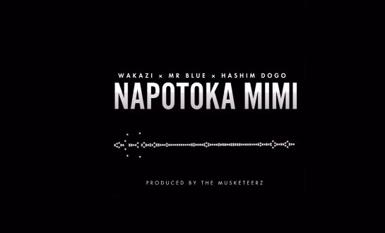 Wakazi - Napotoka Mimi (Kionjo) ft. Mr Blue