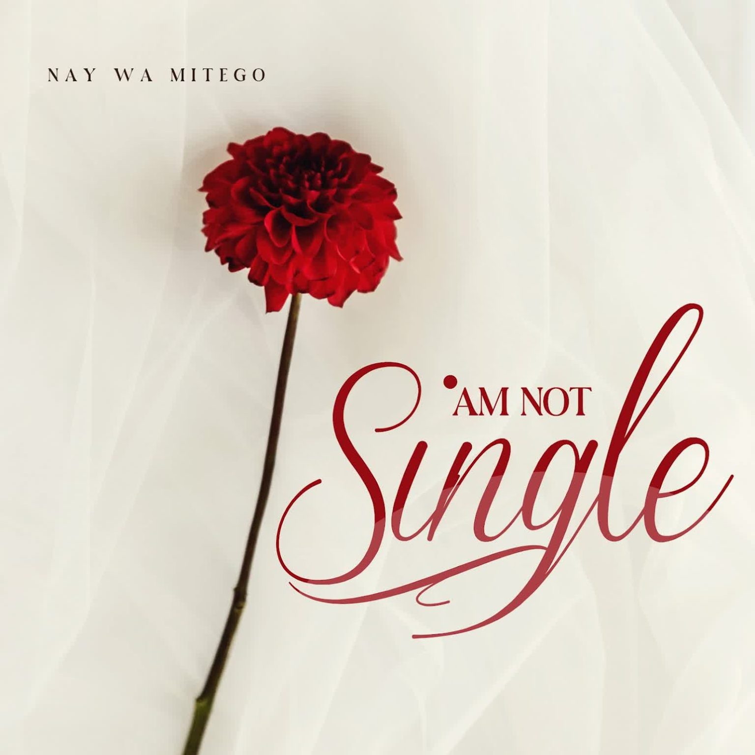 AUDIO | Nay Wa Mitego – Am Not Single | Download