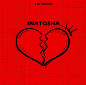 B2k Mnyama – Inatosha