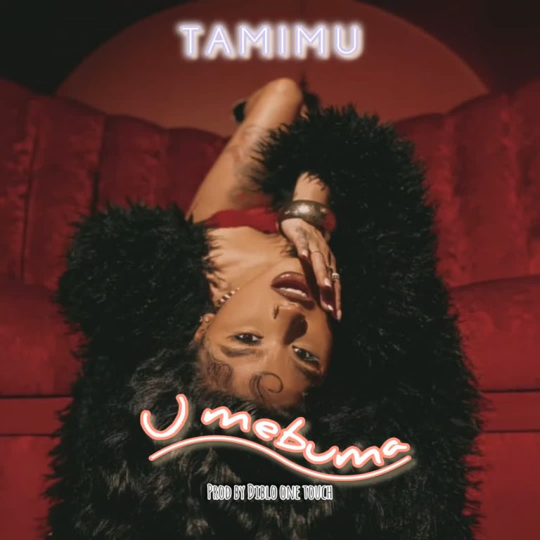 AUDIO | Tamimu – Umebuma | Download
