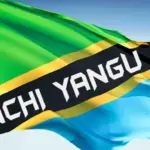 Tanzania Artists – Nchi Yangu