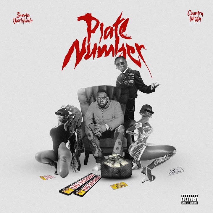 AUDIO | Seneta Worldwide Ft Country Wizzy – Plate Number | Download