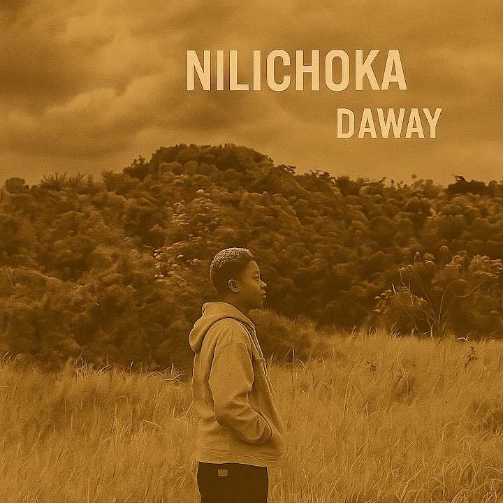 AUDIO | Daway – Nilichoka | Download