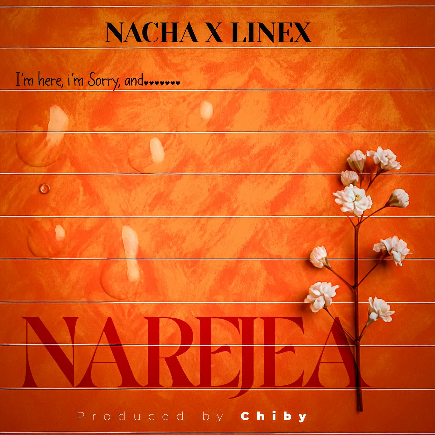 AUDIO | Nacha Ft. LINEX – Narejea | Download