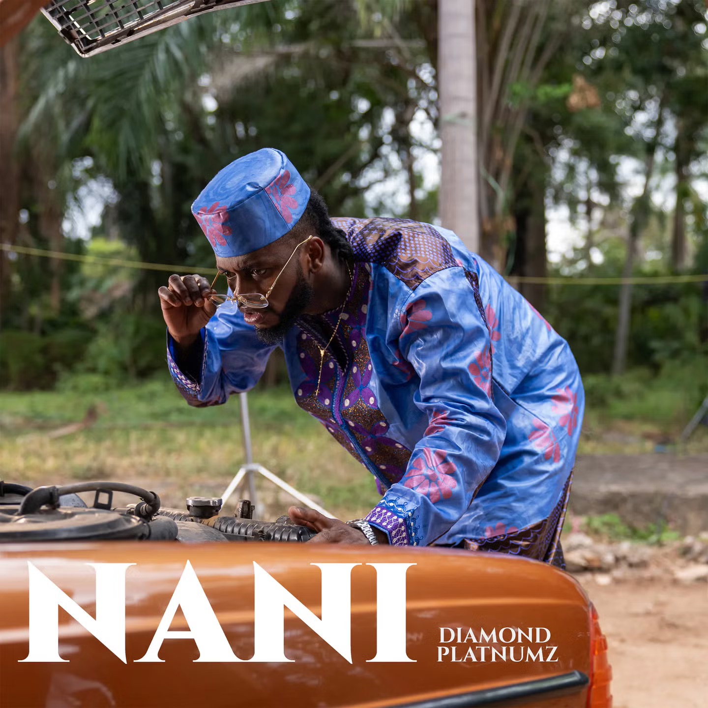 AUDIO | Diamond Platnumz – Nani | Download