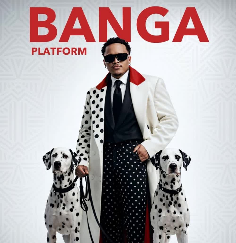 AUDIO | Platform – Banga | Download