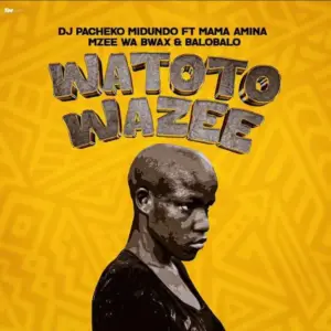 DJ Pacheko Midundo ft Mama Amina, Mzee wa Bwax & BaroBaro – Watoto Wazee