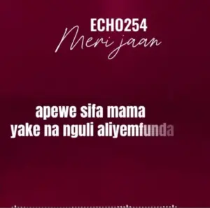 Echo 254 – Meri Jaan