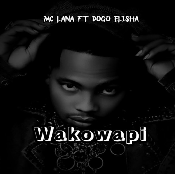 AUDIO: Mc lana & Dogo Elisha – Wakowapi | Download