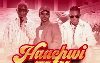 DML 002 ft Barnaba – Haachwi Mtu