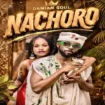 Damian Soul – Nachoro (Remix)
