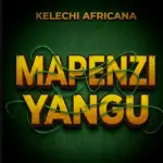 Kelechi Africana – Mapenzi Yangu