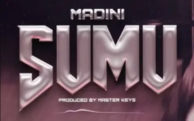 Madini – Sumu