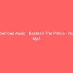 Download Audio : Barakah The Prince – Nuru Mp3