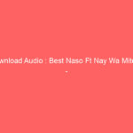 Download Audio : Best Naso Ft Nay Wa Mitego – Akutake Nani Mp3