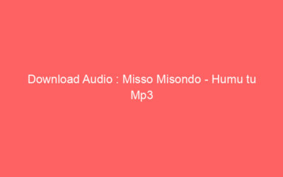 Download Audio : Misso Misondo – Humu tu Mp3 (Singeli Beat)