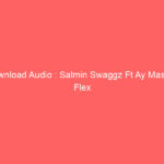 Download Audio : Salmin Swaggz Ft Ay Masta – Flex Mp3