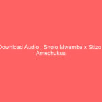 Download Audio : Sholo Mwamba x Stizo – Amechukua Nani Mp3