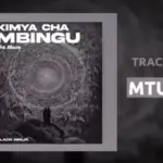 Black Ninjah – Mtundu (Punguani)