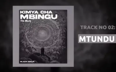 Black Ninjah – Mtundu (Punguani)