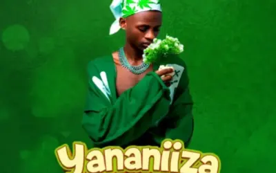 Don Breezy ft Mc Laana – Yananiiza