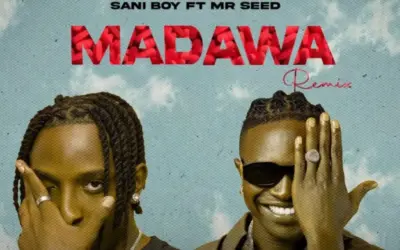 Sani Boy ft Mr Seed – Madawa (Remix)