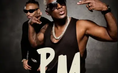 Willy Paul ft Otile Brown – PM